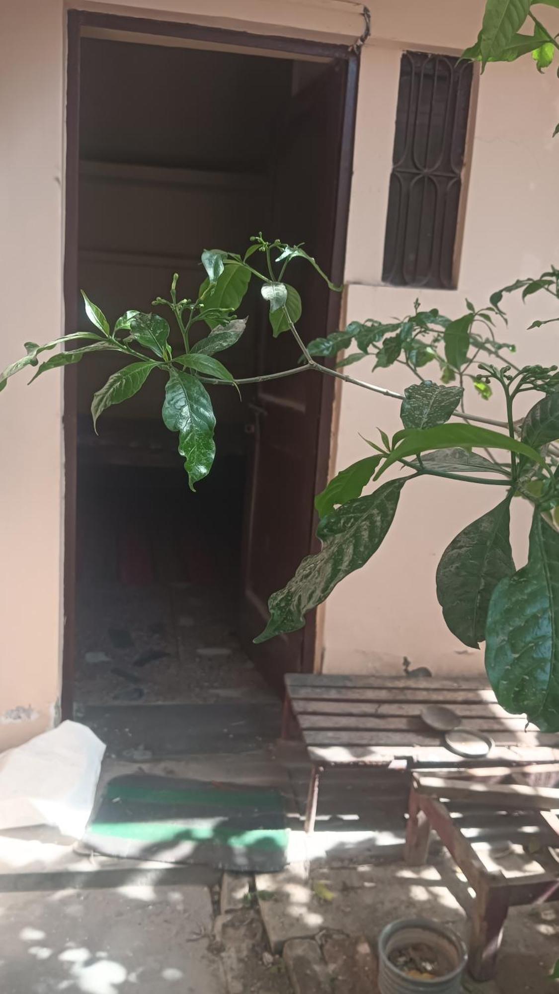 Ds Home Lucknow Bagian luar foto